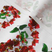 Christmas Red and Green Bougainvillea Wavy Stripe
