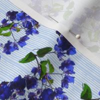 Blue Bougainvillea Wavy Stripe on Blue Stripes