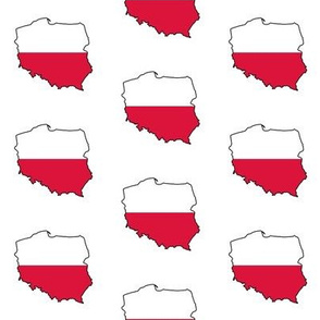 Polish Flag Overlay