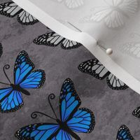 Monarch Butterflies on Gray Granite pattern
