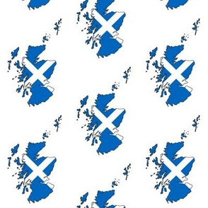 Scottish Flag Overlay