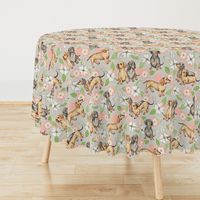 Dachshunds and dogwood blossoms - peach, large