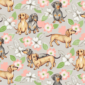 Dachshunds and dogwood blossoms - peach, large