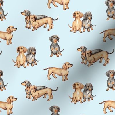 Lots of Little Dachshunds - blue