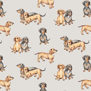 Lots of Little Dachshunds - grey
