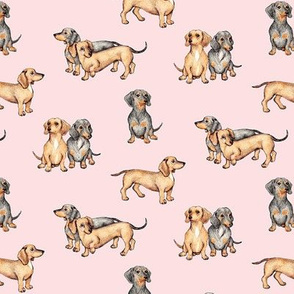 Lots of Little Dachshunds - pink