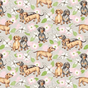 Dachshunds and dogwood blossoms - pink, small
