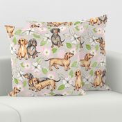 Dachshunds and dogwood blossoms - pink, large