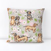 Dachshunds and dogwood blossoms - pink, large