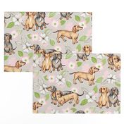 Dachshunds and dogwood blossoms - pink, large