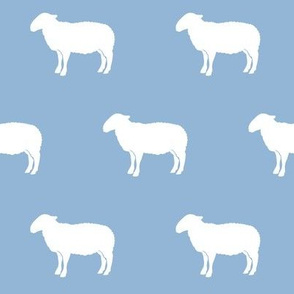 sheep on blue
