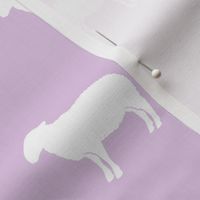 sheep on purple
