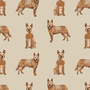 australian cattle dog red heeler simple dog breed fabric beige
