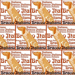bracco italiano