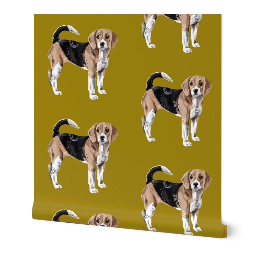 Beagle