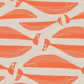 Whales in Orange
