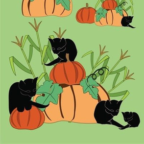 Kitties-n-pumpkins