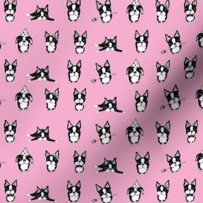 Boston Terriers Pink
