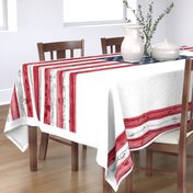 2 yard minky panel - American Flag 