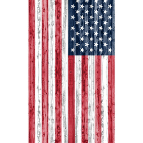 2 yard minky panel - American Flag 