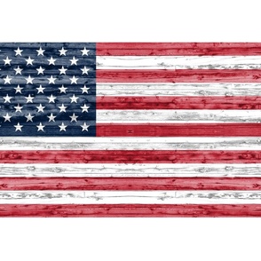 minky fat quarter panel - American flag