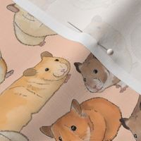 Hamsters on Pink