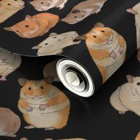 Hamsters in Color on Slate