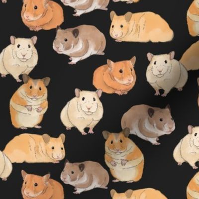 Hamsters in Color on Slate