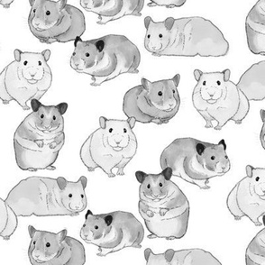 Hamsters in Black and White