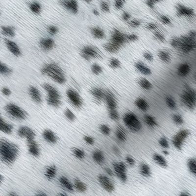 dalmatian fur spots