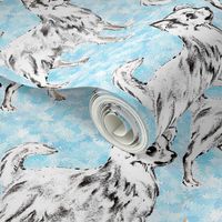 Chihuahua on Aqua Background fabric