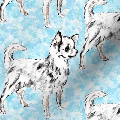 Chihuahua on Aqua Background fabric