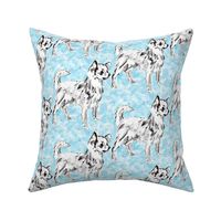 Chihuahua on Aqua Background fabric