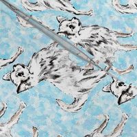 Chihuahua on Aqua Background fabric