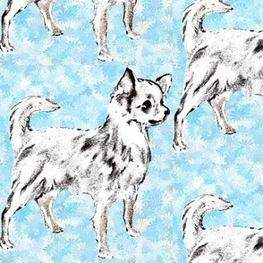 Chihuahua on Aqua Background fabric