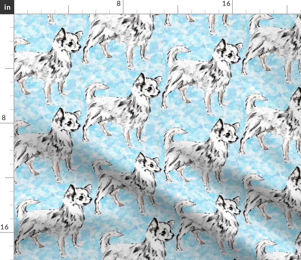 Chihuahua on Aqua Background fabric