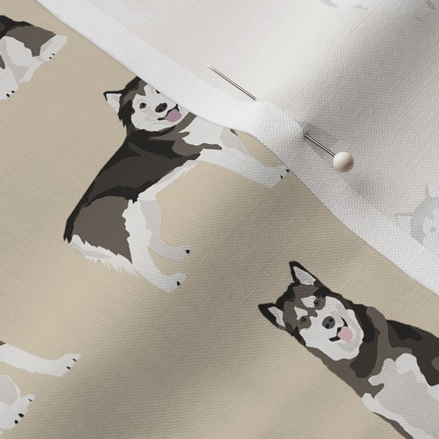 alaskan malamute dog breed pet fabric tan