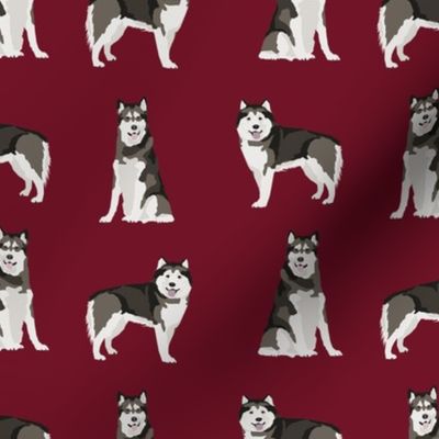 alaskan malamute dog breed pet fabric ruby