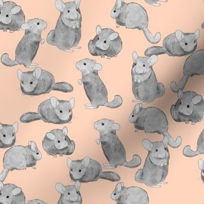 Chinchillas in Black and White on Pink