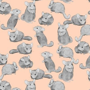 Chinchillas in Black and White on Pink