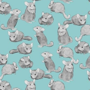 Chinchillas in Black and White on Blue