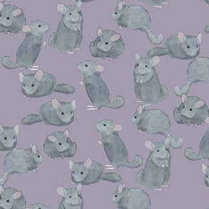 Chinchillas in Color on Purple