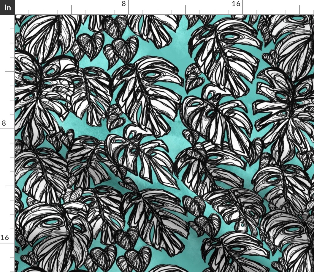 Monstera Turquoise