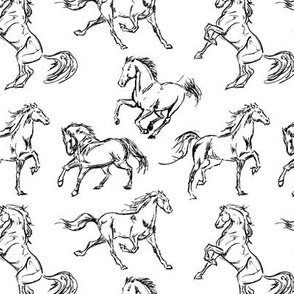 Horse Sketches