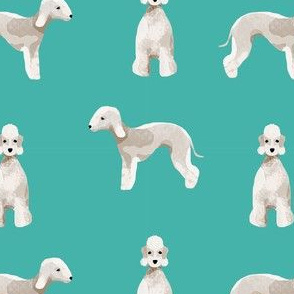 bedlington terrier dog breed pet fabric turquoise