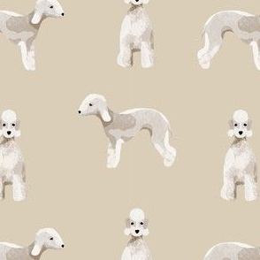 bedlington terrier dog breed pet fabric tan