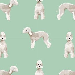bedlington terrier dog breed pet fabric mint