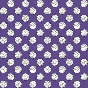 Half Inch Black and White Sports Volleyball Balls on Ultra Violet Purple