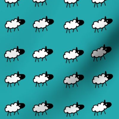 sheeps teal background