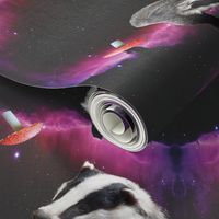 space badger